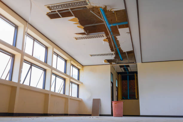 Best Flood damage cleanup  in Oak Hill, WV