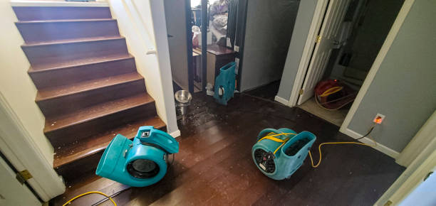 Best 24/7 water damage repair  in Oak Hill, WV