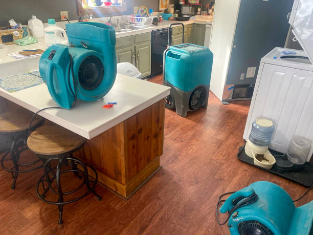 Best Water damage restoration experts  in Oak Hill, WV