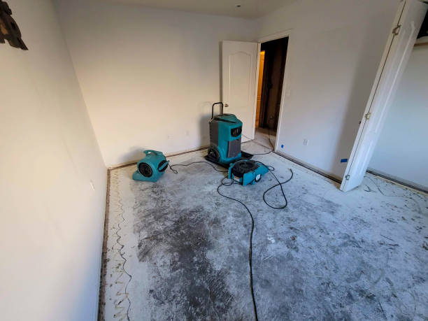 Best 24/7 water damage repair  in Oak Hill, WV