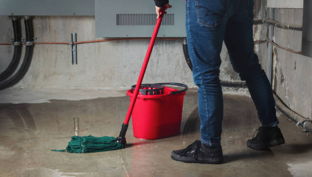 Best Water damage restoration mold remediation  in Oak Hill, WV