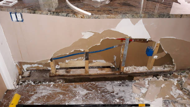 Best Water damage contractors near me  in Oak Hill, WV