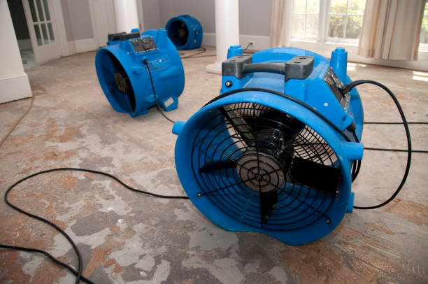 Best Water damage restoration cost  in Oak Hill, WV