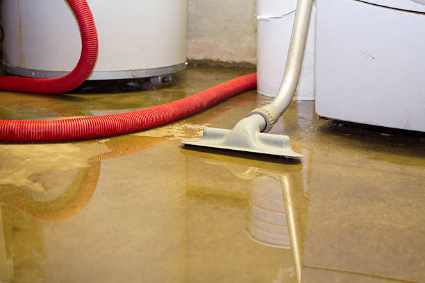 Best Mold removal after water damage  in Oak Hill, WV