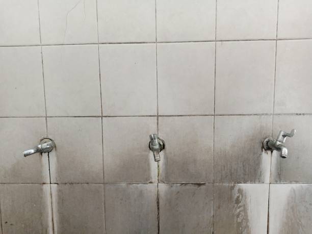 Best Emergency water extraction  in Oak Hill, WV