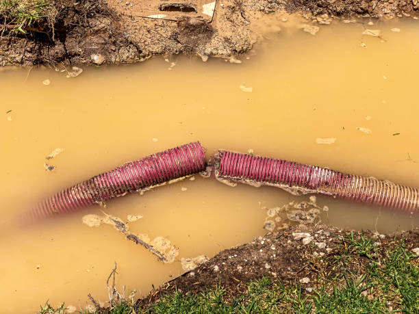 Best Local water damage restoration  in Oak Hill, WV